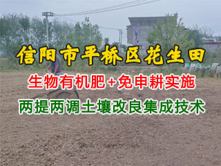 信陽(yáng)市平橋區花生田使用潤博盛生物有機肥